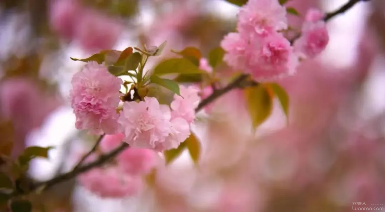 ���������������p���؈D�l(f��)����